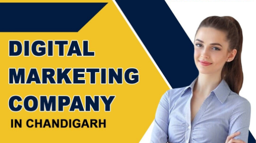 offre de marketing numerique chandigarh