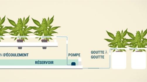 trouvez le systeme hydroponique qui vous convient