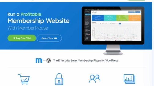Member Mouse